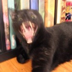 _TheOnlyLoaf_'s Avatar