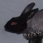 FionaLexin's Avatar