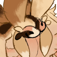 Thumbnail for MANT-2676: Seaslug MYO