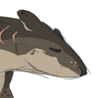 Thumbnail for COR-2762: Tiger